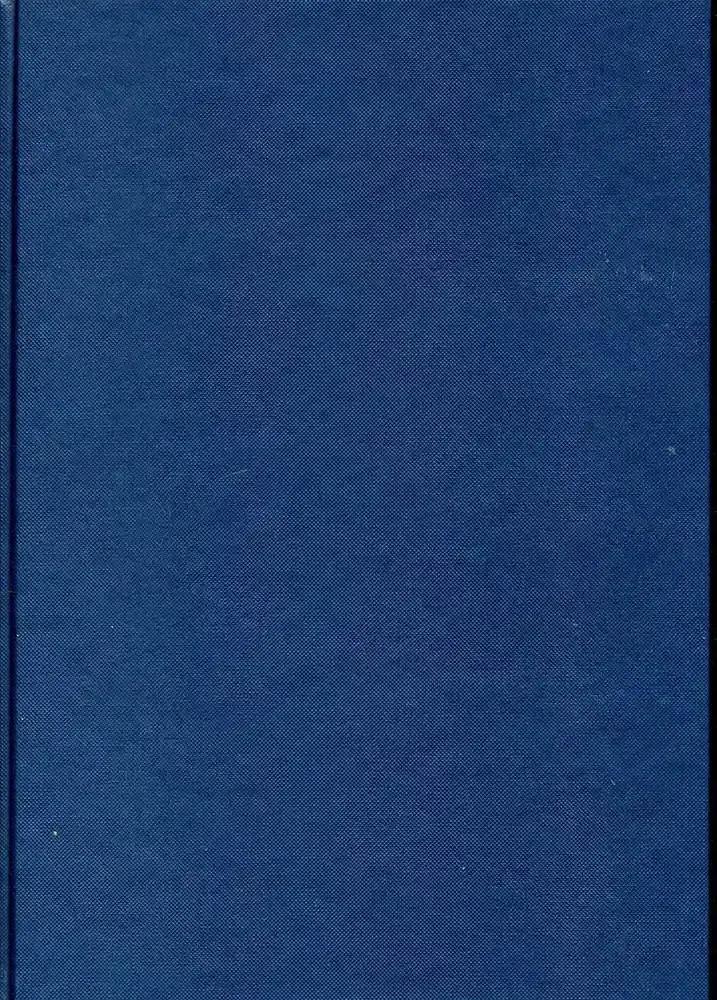 Dummie A4 blauw structuur (MIS869)