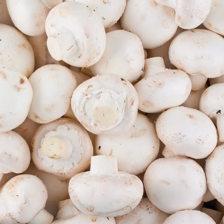 White Mushrooms, Package