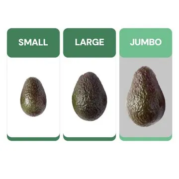Fresh Jumbo Hass Avocado, Each