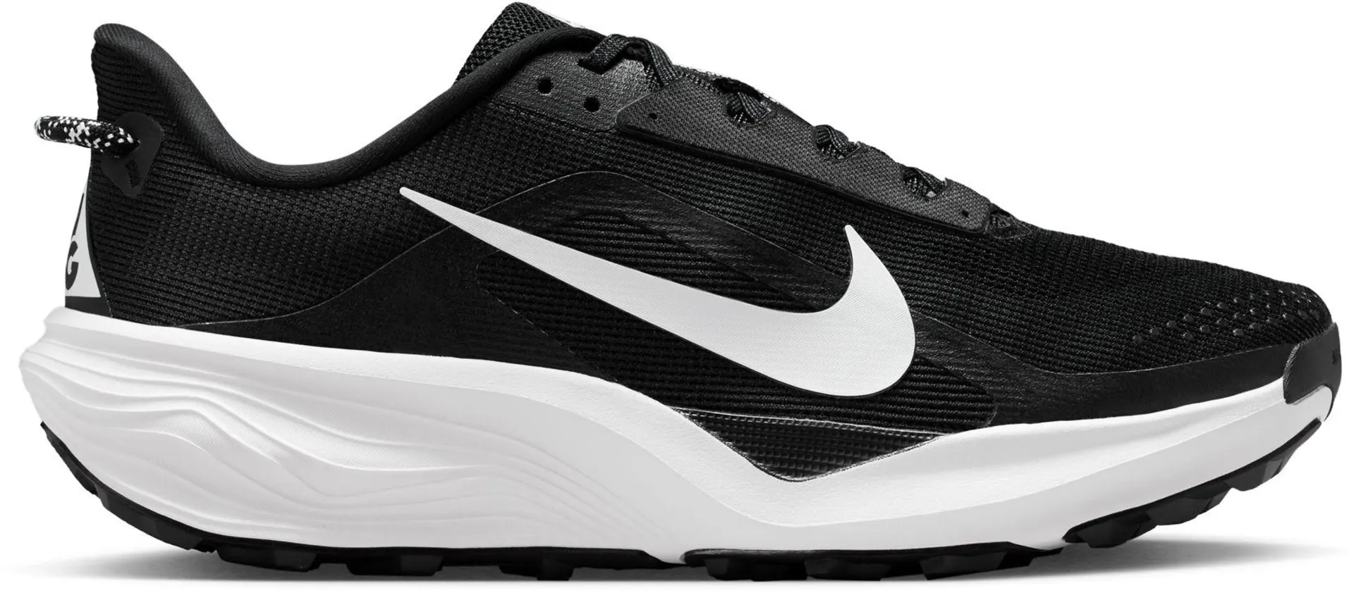ACG Pegasus Men's Road Running Shoes