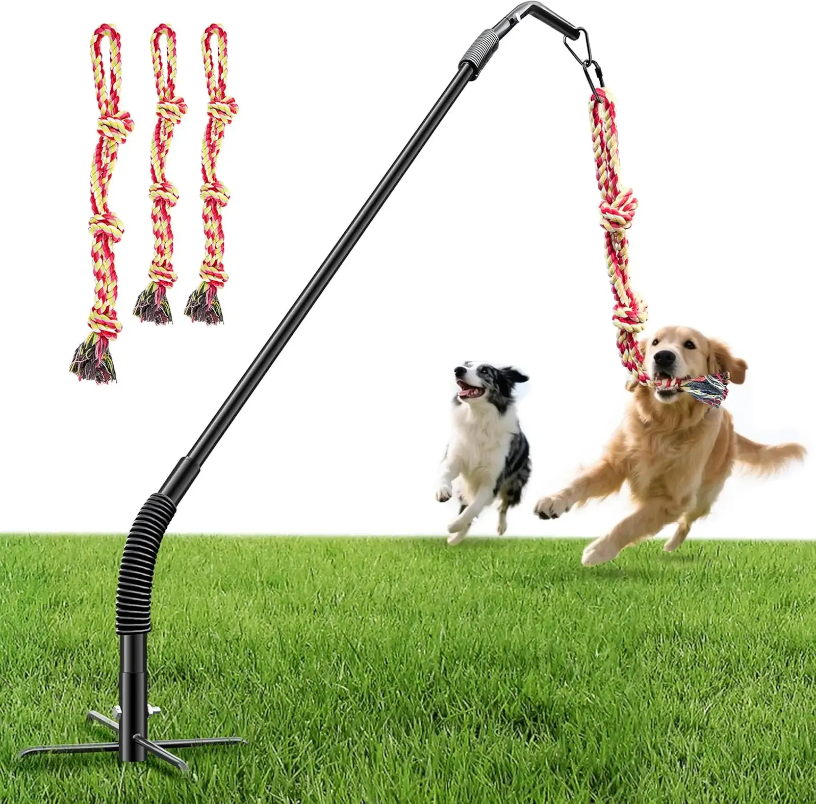 Tether Tug Outdoor Dog Rope Toy, Adjustment Height Upgraded Spring Pole, Includes 3 Chew Ropes, Interactive Tug of War Toy for Large Medium Small Dogs, Exercise Game in Yard, Lawn, Park
