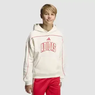 adidas Kids Stadium French Terry Hoody