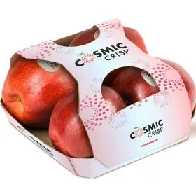 Äpfel Cosmic Crisp