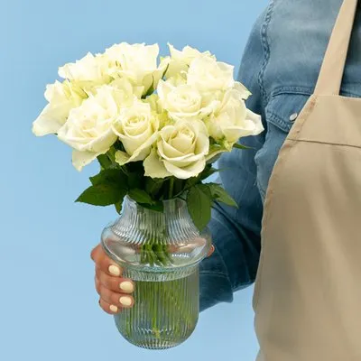 Brievenbusbloemen | Rozen | Wit