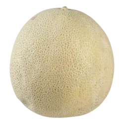Cantaloupe