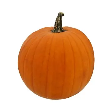 Fresh Large Jack-o'-lantern Pumpkin, Each
