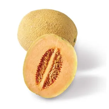 H-E-B Season's Select Melon - Sugar Rush, Each