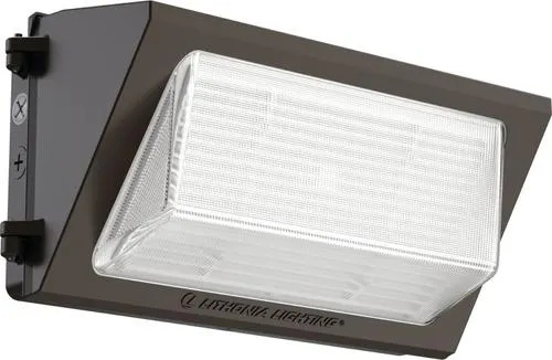 Lithonia Lighting Textured Bronze Dusk to Dawn Outdoor Security Light