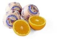 PAPILLON oranges