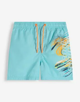 Boxer mare - Stampa - Turchese