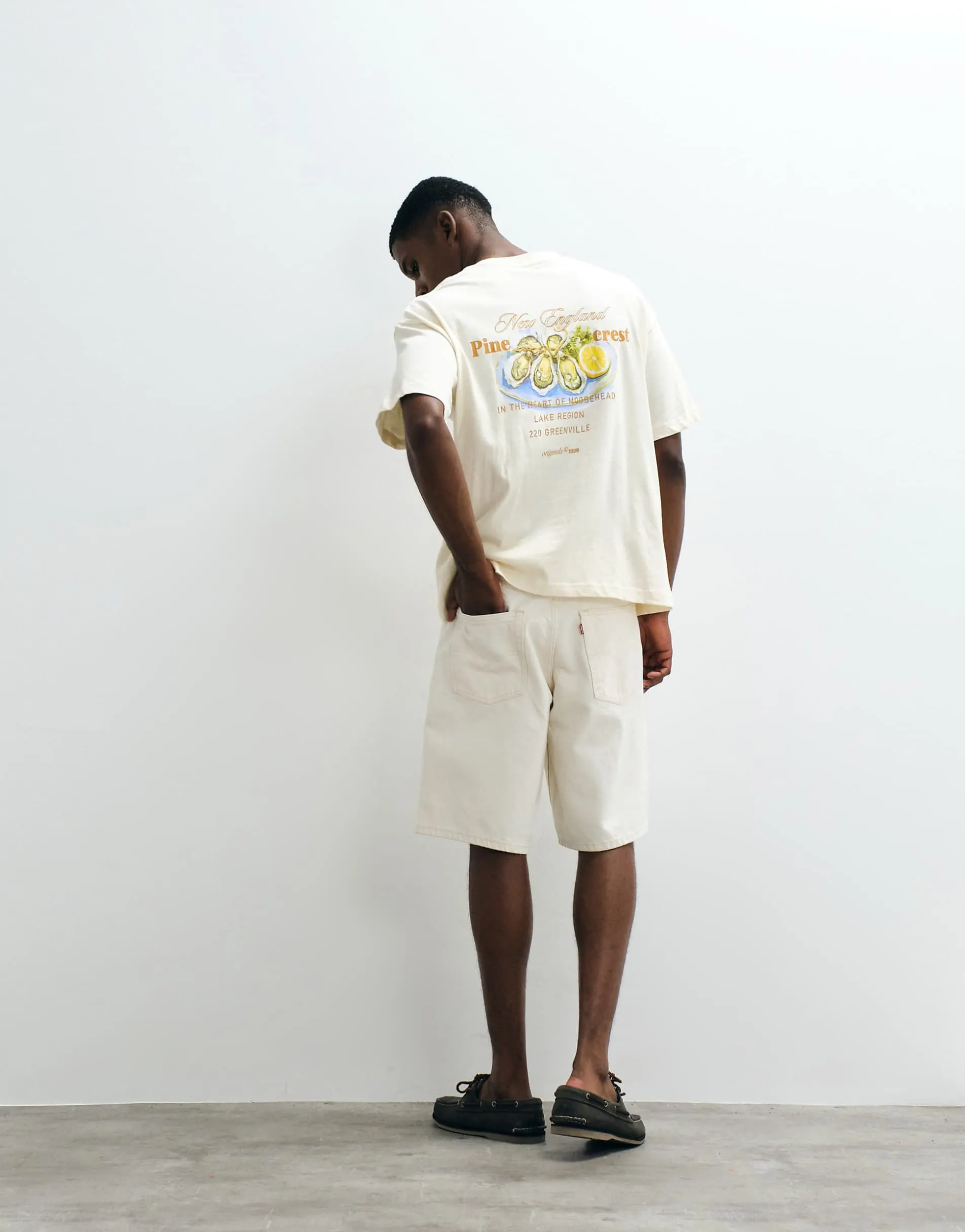 Jack & Jones oversized t-shirt with oyster back print in cream