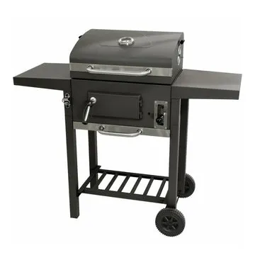 Barbecue a Carbone con Coperchio e Termometro Integrato