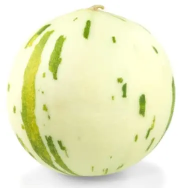Melon
