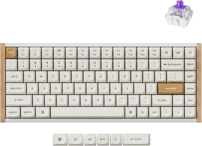 Keychron K2 HE Rapid Trigger Wireless Custom Keyboard with Hall Effect Gateron Double-Rail Magnetic Switch, 2.4 GHz QMK Bluetooth 5.2 RGB Compatible with Mac Windows Linux (Aluminum + Wood)