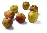BONI Pomme Jonagored