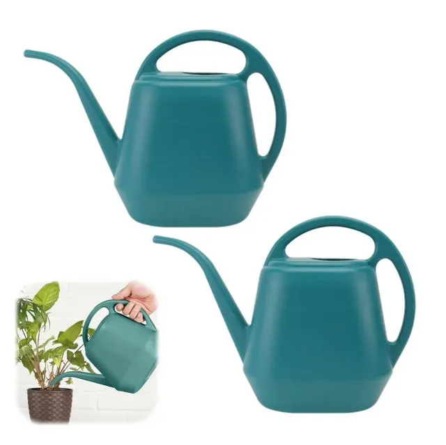 QWINERN Annaffiatoi da giardino da 2 litri(confezione da 2),spruzzatore da giardino in plastica,ugello lungo,adatti per giardini,orti e piante grasse