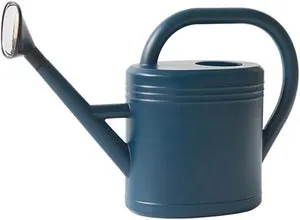 Annaffiatoio da esterno blu da 3 litri con beccuccio lungo rimovibile per irrigare giardini, fiori e piante - 40 x 17 x 27 cm