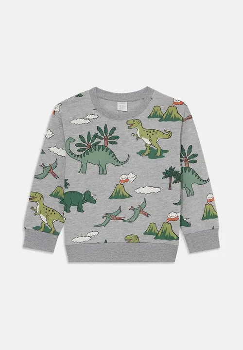 DINO - Sweatshirt - grey