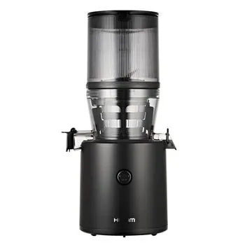 Hurom H-320 Slow Juicer