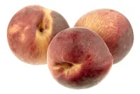 BONI pêches
