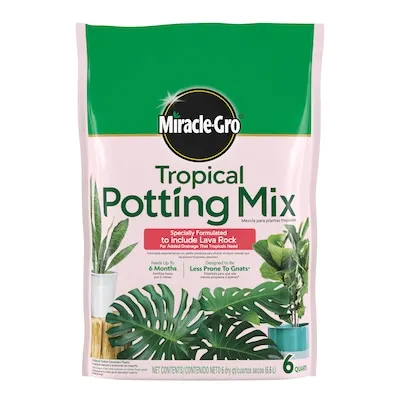 Miracle-Gro 6 Quart(s) Tropical and succulent Potting soil mix
