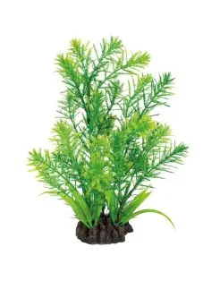 Superfish Art Pl 25cm Hottonia - Ornament -