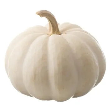H-E-B Texas Roots White Pumpkins, Each