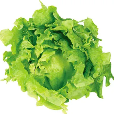 alface americana unidade