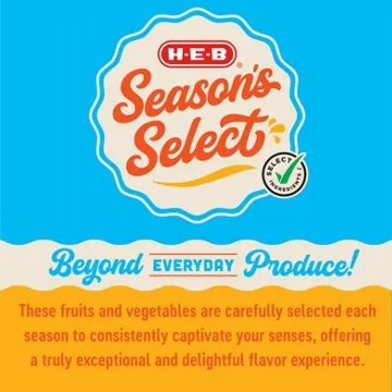 H-E-B Season's Select Fresh Roma Tomatoes, 14 oz