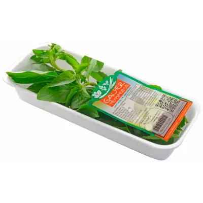 manjericão alfavaca gauer bandeja com 16g