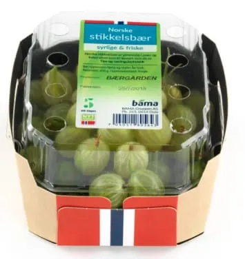 Stikkelsbær
