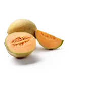 Cantaloupe Meloen