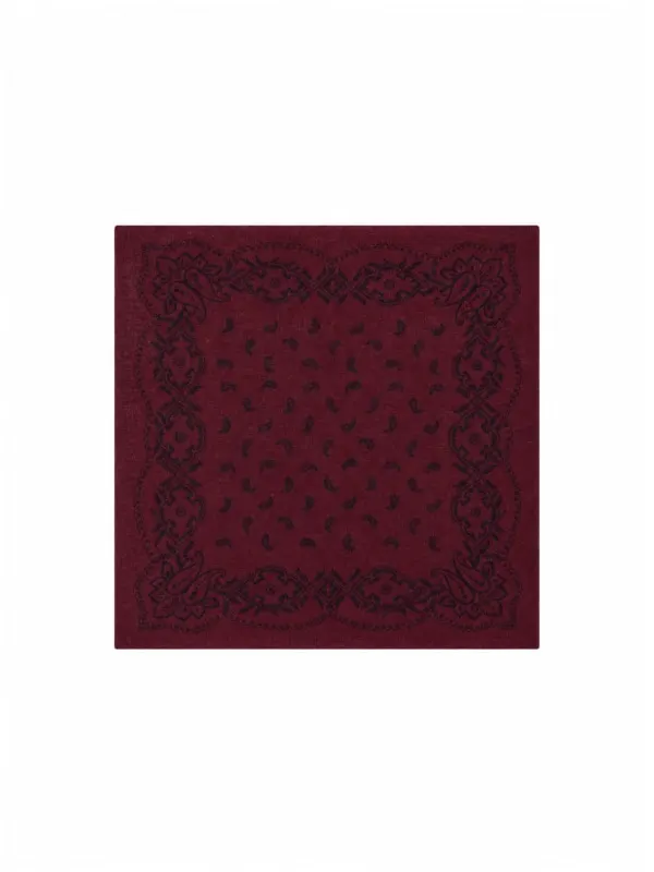 Adelina Paisley Knit Scarf Wine