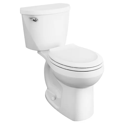 Mainstream 4.8L Single Flush Right Height Round Front 2-Piece Toilet in White