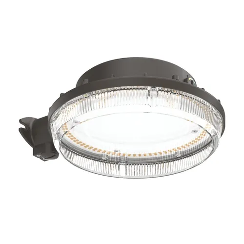 Lithonia Lighting® Dark Bronze LED Dusk-to-Dawn Outdoor Security Area Light