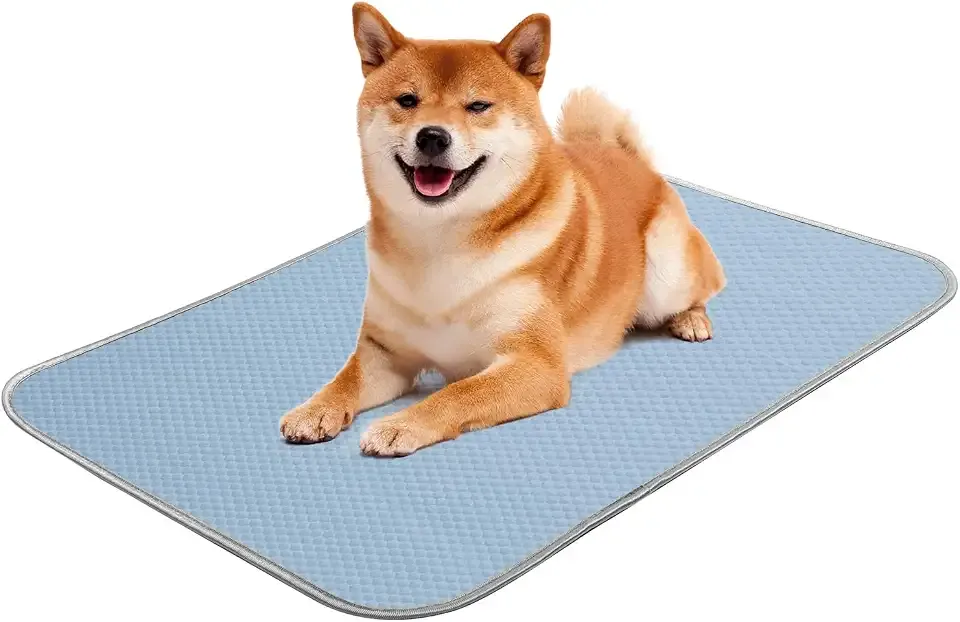 Buvlnee Summer Dog Cooling Mat, Washable Ice Silk Self Cool Pad for Small Medium Large Dogs and Cats, 24x18in Pet Sleeping Pad for Crate, Bed, Indoor & Outdoor Floor, Car Seats