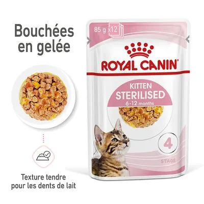 Royal Canin FHN Sterilised Kitten en gelée pour chaton