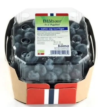 Blåbær