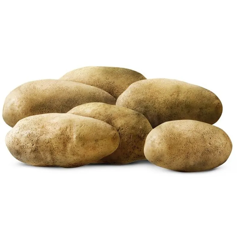 Baking Potatoes, Bag