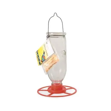 Topflite Glass Nectar Feeder