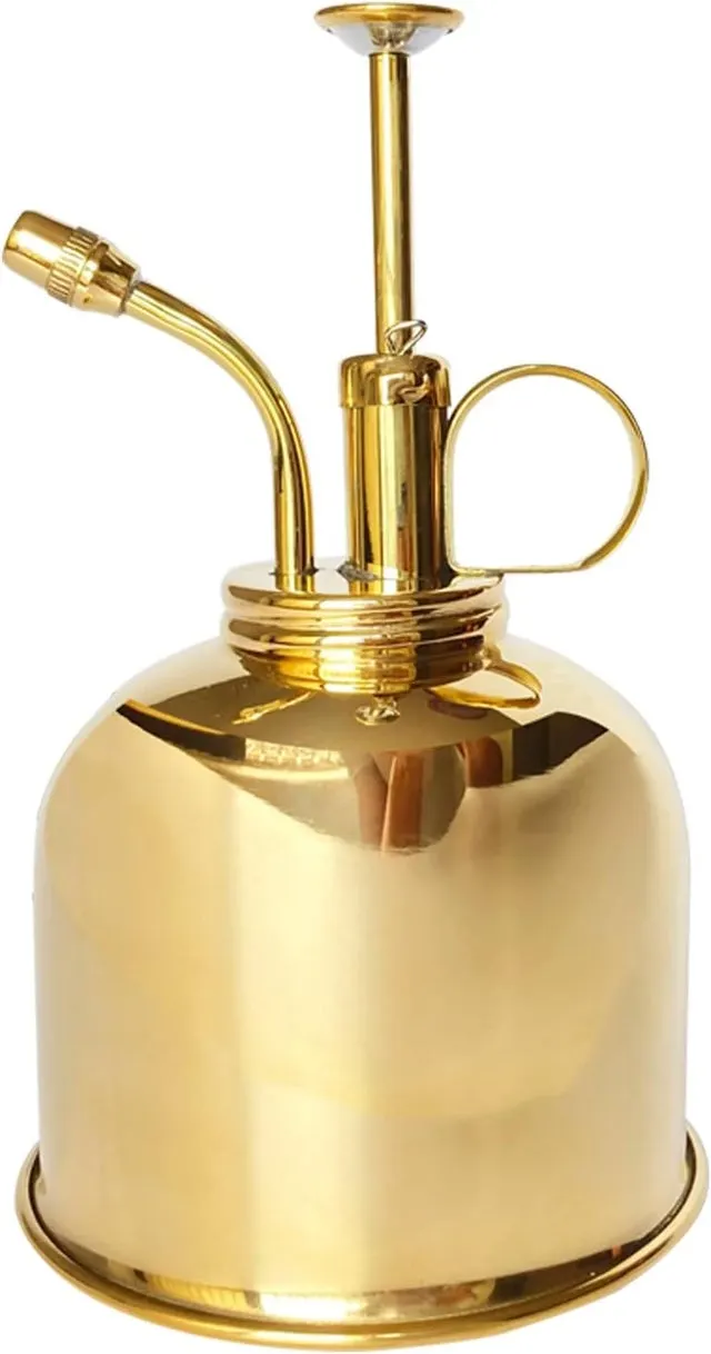 Spray dorato in bomboletta spray per piante, flacone spray interno per fiori, nebulizzatore da 300 ml/10,56 oz