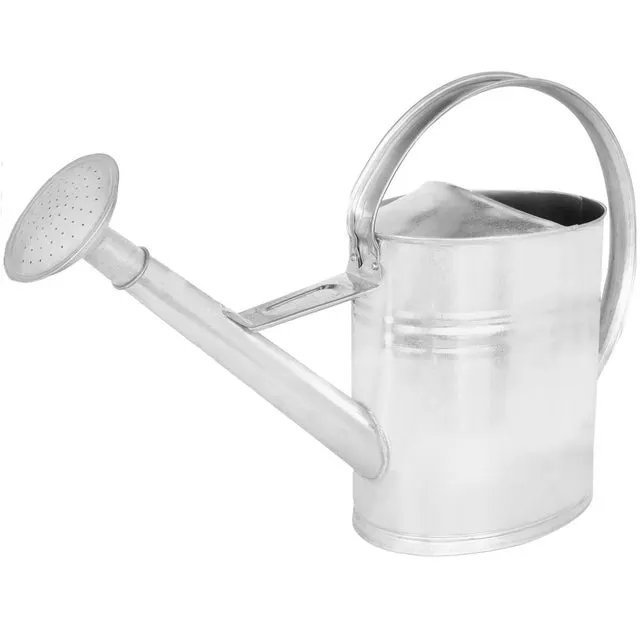 Annaffiatoio - Acciaio Zincato - 12 L - Innaffiatoio - Argento - Annaffiatoio Giardino - Con Doccia Rimovibile - per Esterno e Interno KOTARBAU
