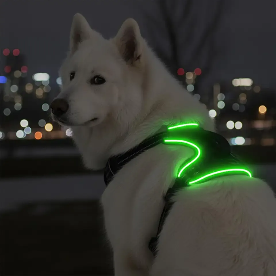 Light Up Dog Harness, Multicolor Illuminated LED Dog Harness with 7 Lighting Modes, No Pull Rechargeable Safety Vest with Handle for Medium Large Dogs, Waterproof & Adjustable, Large