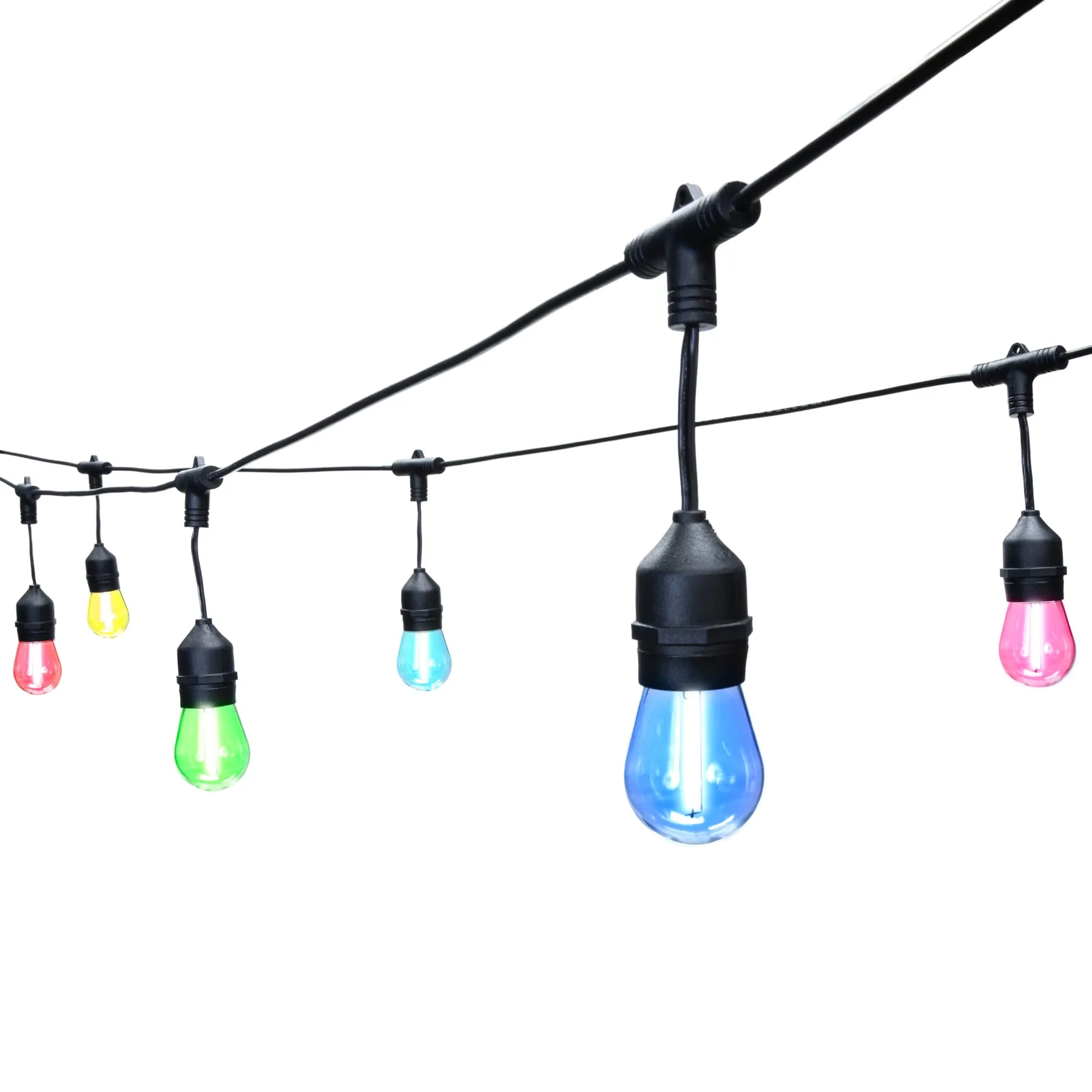 24-ft Plug-in Black Indoor/Outdoor String Light with 12 Color changing -Light LED Edison Bulbs and with Remote