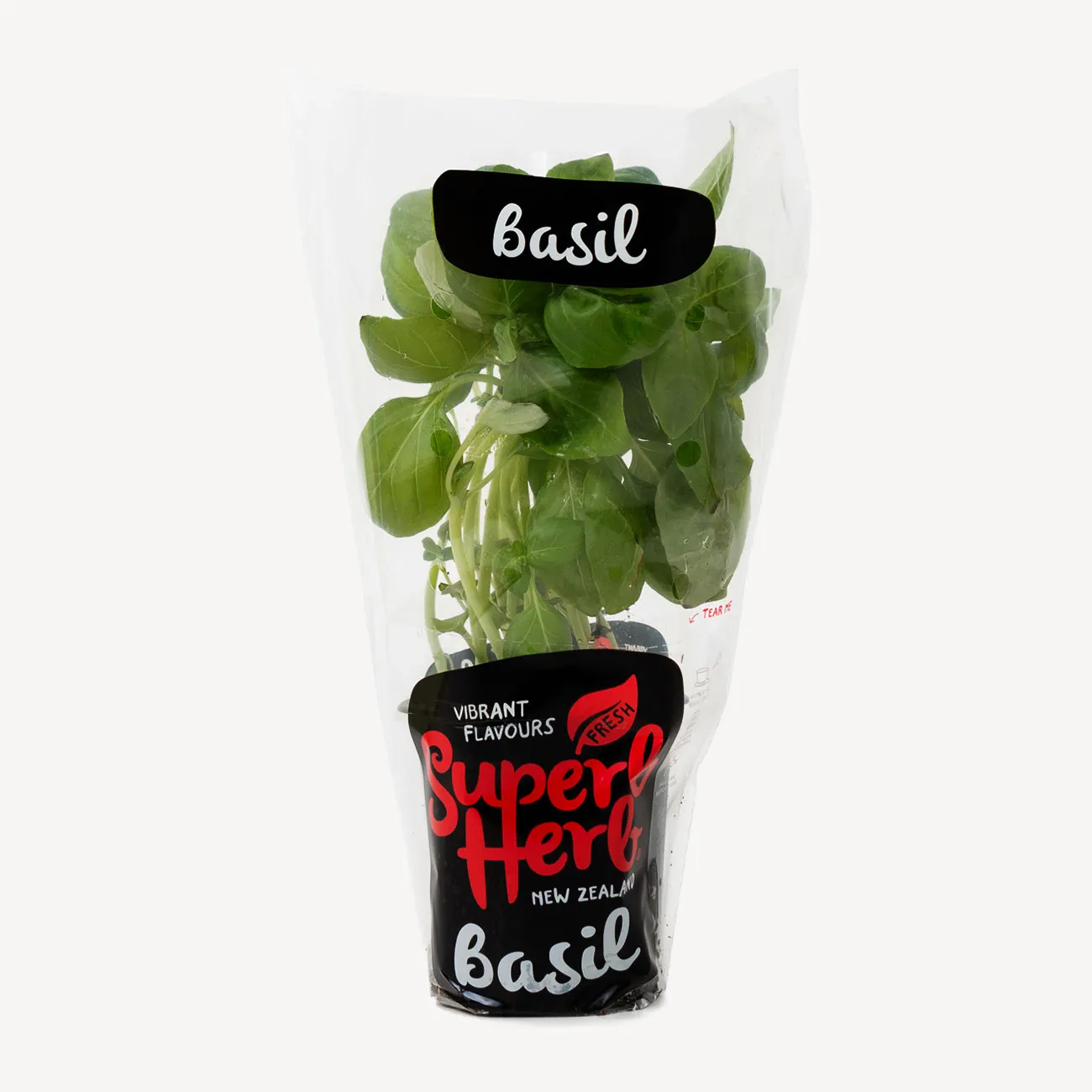 basil small