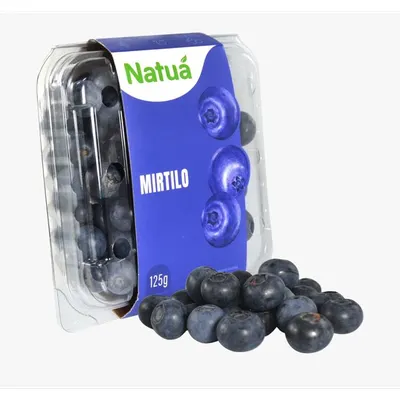 mirtilo importado natuá 125g