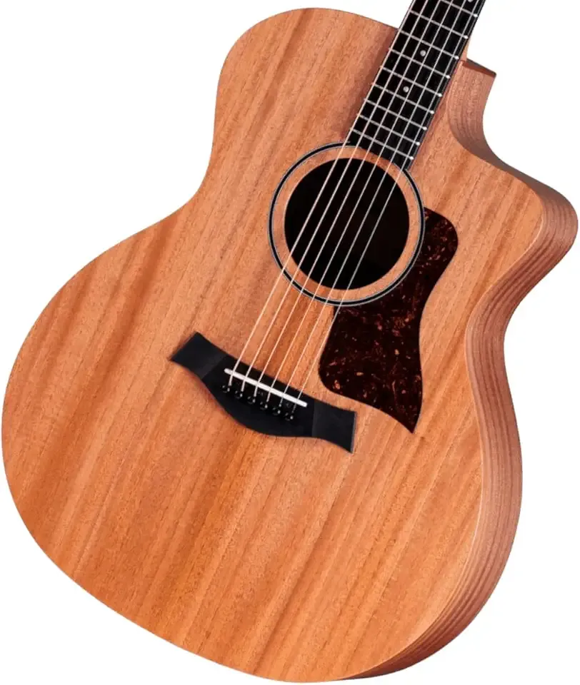 Taylor 24ce Neo-Tropical Mahogany/African Sapele Natural w/Fishman Sonitone GT-2