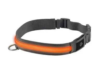 Collar regulable con LED para perro