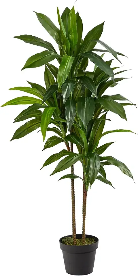 Nearly Natural 48 in Artificial Dracaena Real Touch Plant with Pot | Multi-Tonal Trunks, Large Indoor Silk Plant, Maintenance-Free, Living Room and Home Office Decor