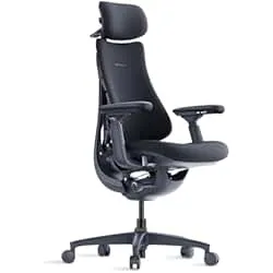 LiberNovo Dynamic Ergonomic Office Chair - Comfy Adjustable Desk Chair with Adaptive Lumbar Support, 160° Recline & Built-in Spine Stretch for Back Comfort, Home Office Long Hours Use, Black+48cm